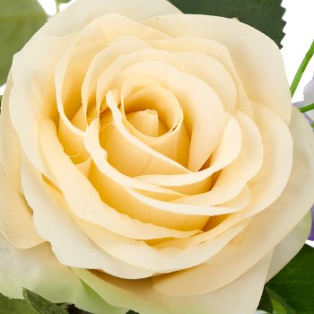 Rose mix bundle x3, 45cm, natural white