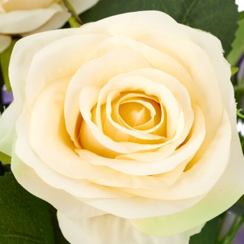 Rosen-Mix-Bund x6, 50cm, naturweiß