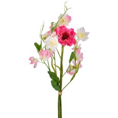 Mohn-Mix-Bund x3, 50cm, rosa