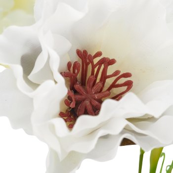 Mohn-Mix-Bund x3, 50cm, weiß