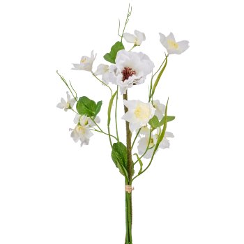 Mohn-Mix-Bund x3, 50cm, weiß