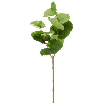 Begonienblätterzweig, 60cm, grün