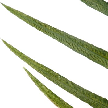 Palmzweigbund x3, 90cm, grün