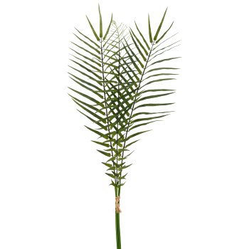Palmzweigbund x3, 90cm, grün