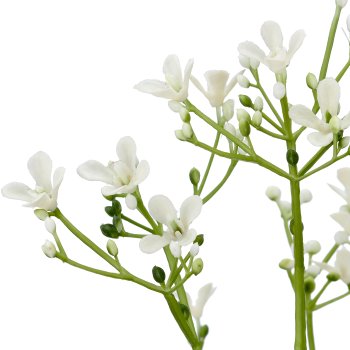 Jasminzweig, 3/Poly, 61cm, weiß
