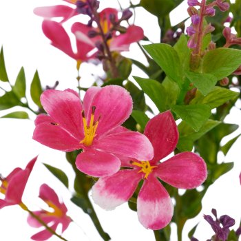 Miniblattbusch mit Blüten x4/Poly, 34cm, pink