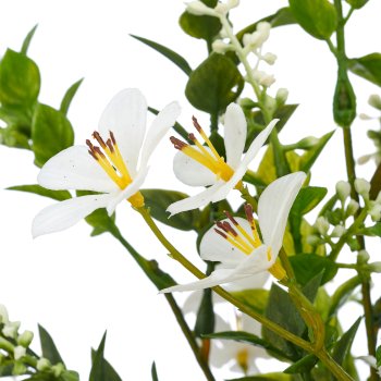 Miniblattbusch mit Blüten x4/Poly, 34cm, weiß