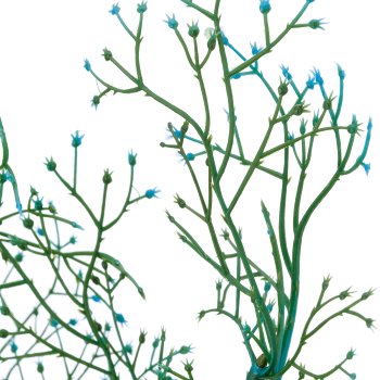 Limoniumzweig, 72cm, blau