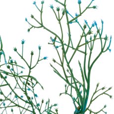 Limoniumzweig, 72cm, blau