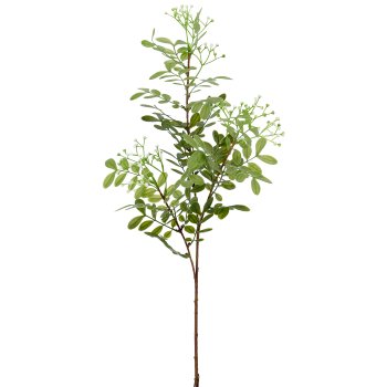 Eschenzweig, 80cm, weiß
