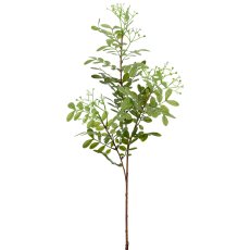 Eschenzweig, 80cm, weiß