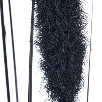 Penisetumgras x2, 91cm, schwarz