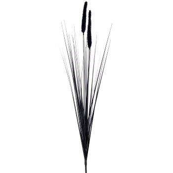 Penisetumgras x2, 91cm, schwarz