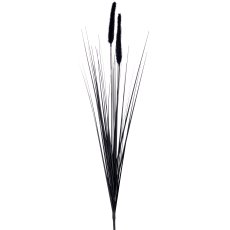 Penisetumgras x2, 91cm, schwarz