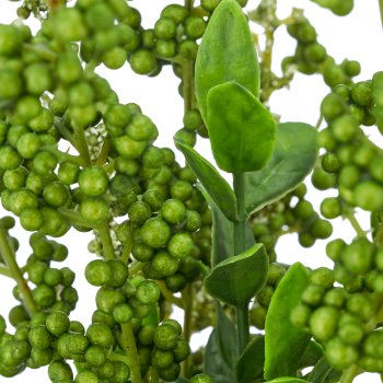 Privet bunch x7, 47cm, green