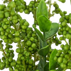 Privet bunch x7, 47cm, green