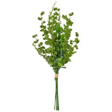 Privet bunch x7, 47cm, green