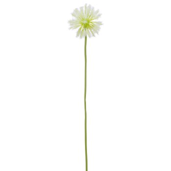 Pusteblumenzweig, 11x11x60cm, weiß