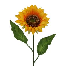 Sonnenblume Ø 11cm, 66cm