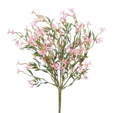 Jasmine bush, 1/poly, 35cm, pale pink