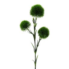 Dianthus x3, 62cm, green