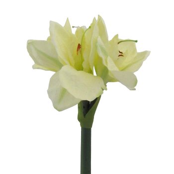 Künstliche Amaryllis mit 3 Blüten, 32cm Länge des Stiels, creme