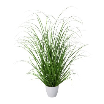 Grass Bush In White Plastic Pot, 60cm