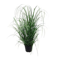 Grass Bush In Pot, 75 cm