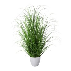 Grass Bush In White Plastic Pot, 75cm