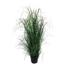 Grass Bush In Pot, 120 cm