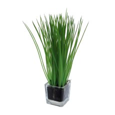 Grass In Glass 5 x 5 cm, 23 cm