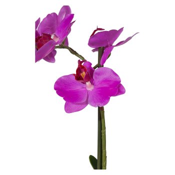 Phalaenopsis x12, 50cm Purple, In ceramic bowl 14.5x8.5cm white, Real Touch