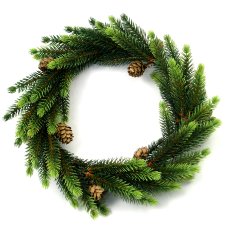 Mini Fir Wreath, 17 cm 6/Pole