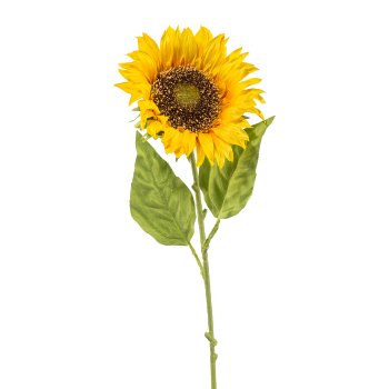 Sonnenblume Ø13cm, 66cm, gelb