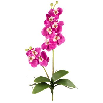 Orchid Phalaenopsis x2, 60cm, 9 flowers, pink