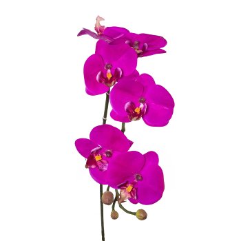 Phalaenopsis, 69cm, Orchid, Real Touch