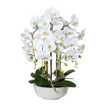 Phalaenopsis, ca 66cm weiß, in Keramikschale Ø25/10cm weiß, Real Touch