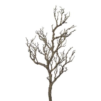 Dekoast, 78cm, natur