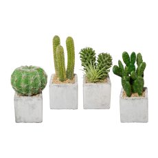 Cacti In Cement Pot 4Fold