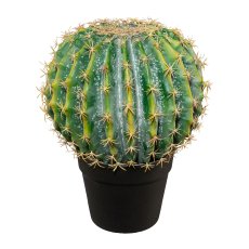 Ball Cactus Potted, 33x26 cm