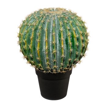 Ball Cactus Potted, 45x36cm