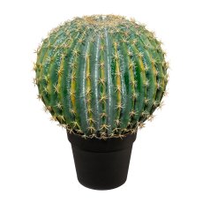 Ball Cactus Potted, 45x36 cm