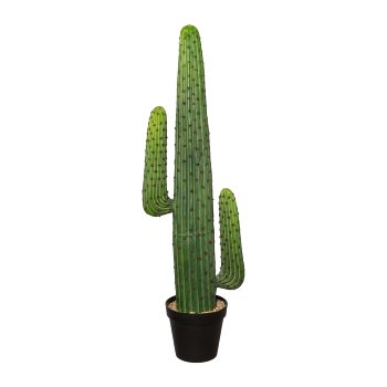 Mexican Cocactus Potted, 127 cm