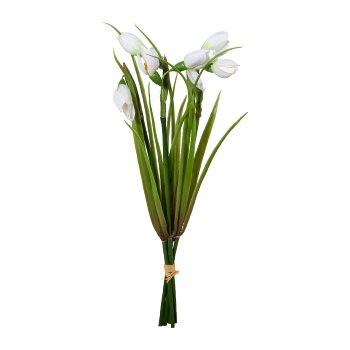Schneeglöckchenbund x 5, 30cm