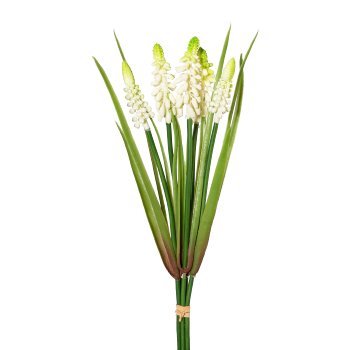 Muscaribund x5, 30cm, creme