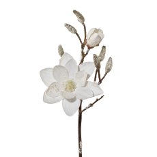 Magnolia With Snow, 45 cm