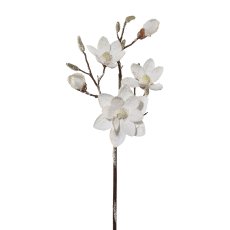 Magnolia with Snow, 92cm Magnolia w. snow, 92cm