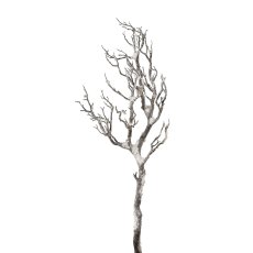 Decorative branch with snow,