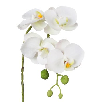 Phalaenopsis 3D-Print x 4, 42cm, white, Real Touch