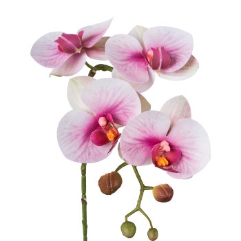 Phalaenopsis 3D-print x 4, 42cm, weiß-lila, Real Touch